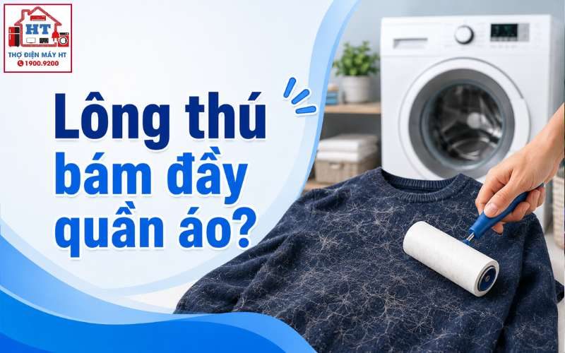 Giặt Quần Áo Dính Lông Thú Cưng Bằng Máy Giặt: Chuẩn, An Toàn Cho Máy