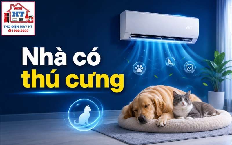 Cách Dùng Điều Hòa An Toàn Cho Chó Mèo: Nhiệt Độ, Không Khí và Lưu Ý Quan Trọng