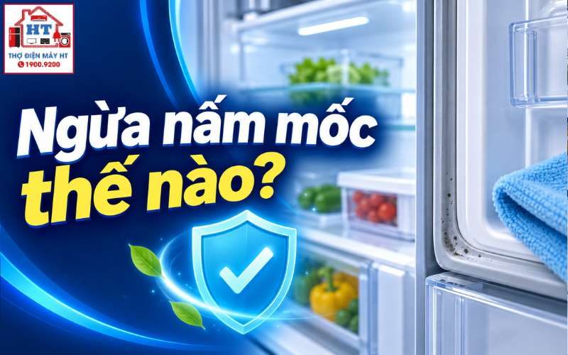 Hạn chế nấm mốc tủ lạnh: Nguyên nhân, cách xử lý và phòng ngừa hiệu quả
