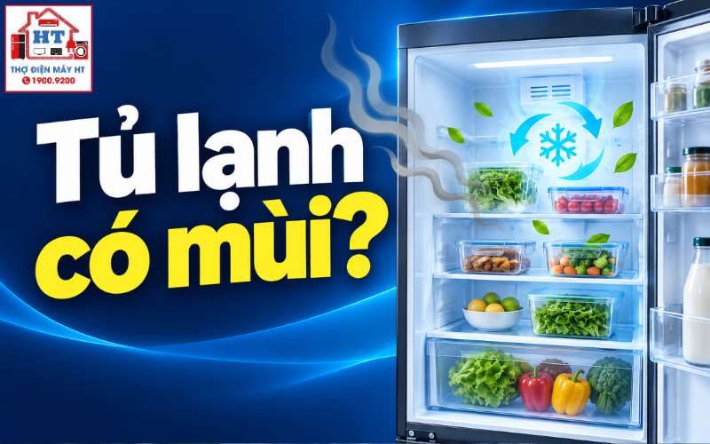 Cách Khử Mùi Tủ Lạnh Triệt Để, An Toàn Với Nguyên Liệu Tự Nhiên